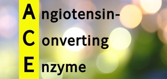 בדיקת Angiotensin Converting Enzyme) ACE) - תמונה